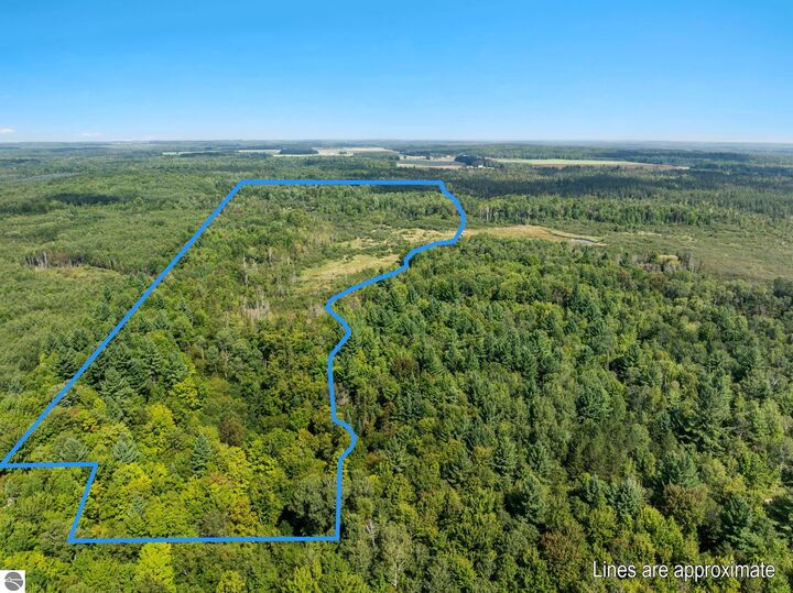 Property Photo: 4517 SE Pierson Creek Road MI 49646