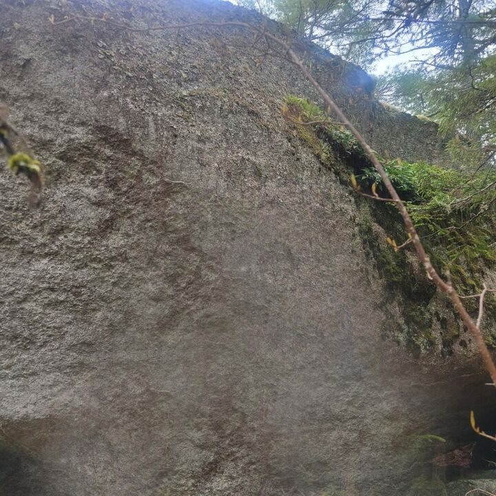 Property Photo:  Lot 17 Tupper Lake  NS B0T 1B0 