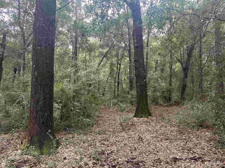Property Photo:  0001 Blk McInnis St  FL 32583 