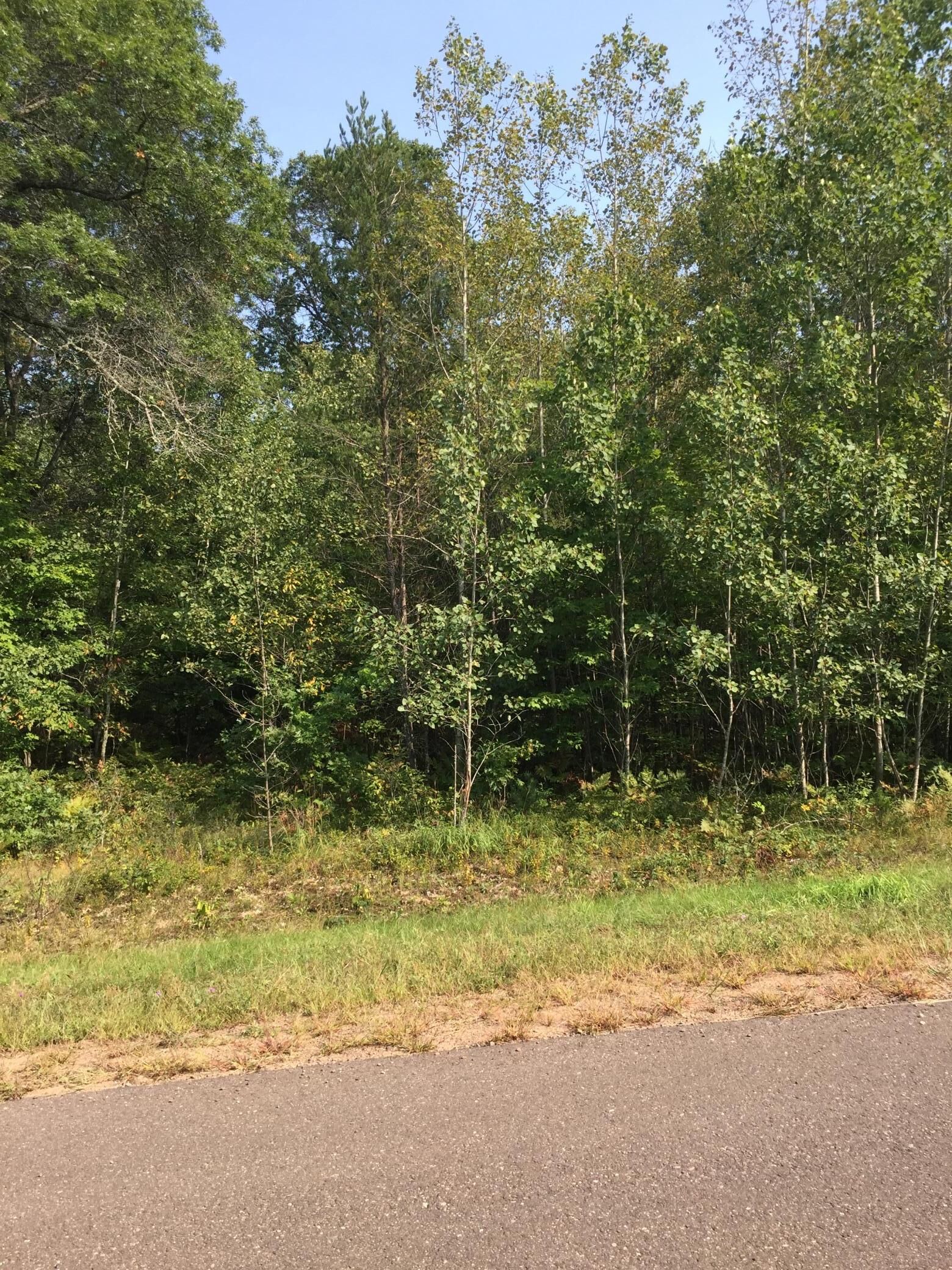 Property Photo:  Lot 33 Shady Lane  WI 54872 
