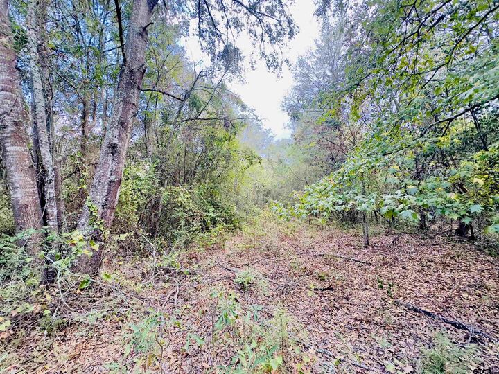 Property Photo: 0000 Apple Tree Rd TX 75644