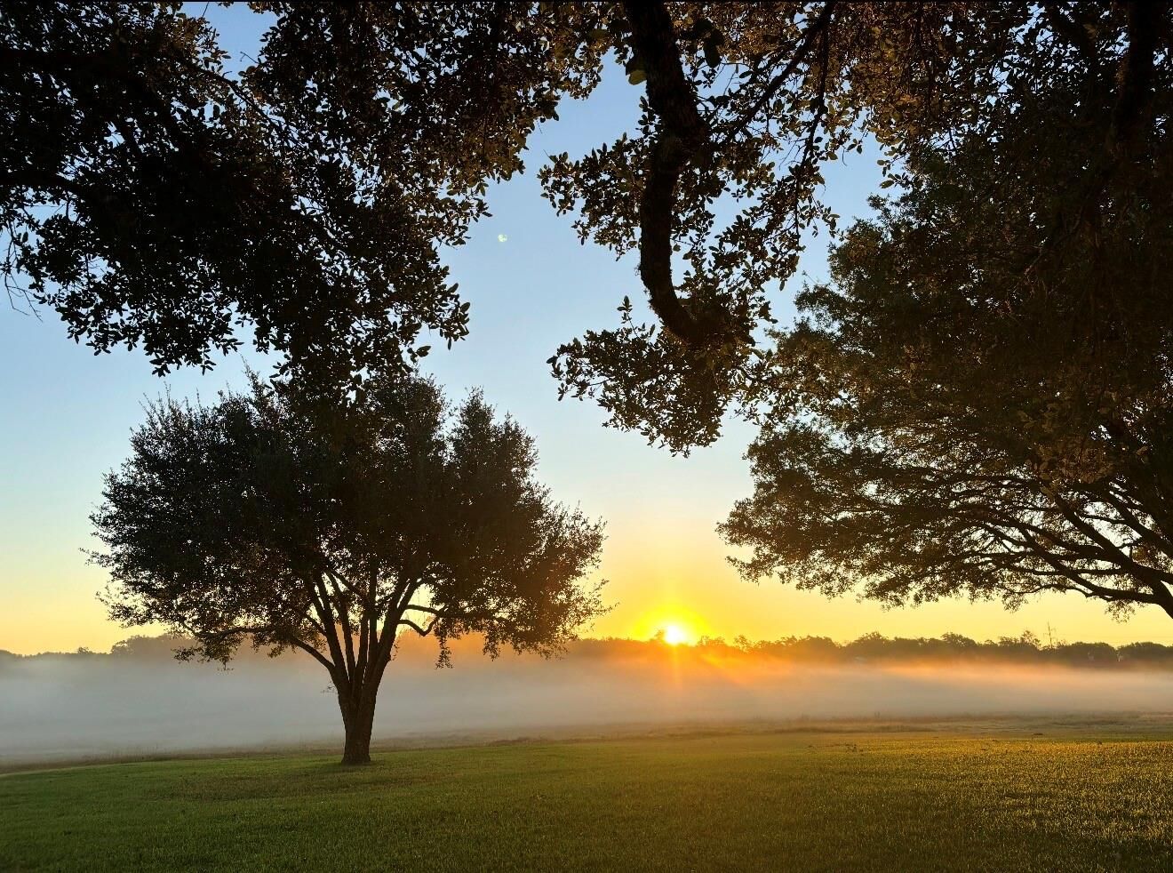 Property Photo:  4203 Old Mill Creek Road  TX 77833 