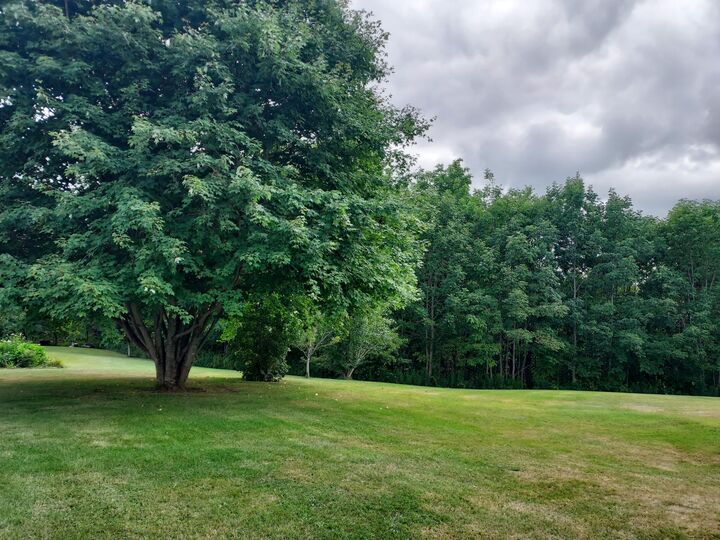 Property Photo:  27 Emery Avenue  ME 04861 