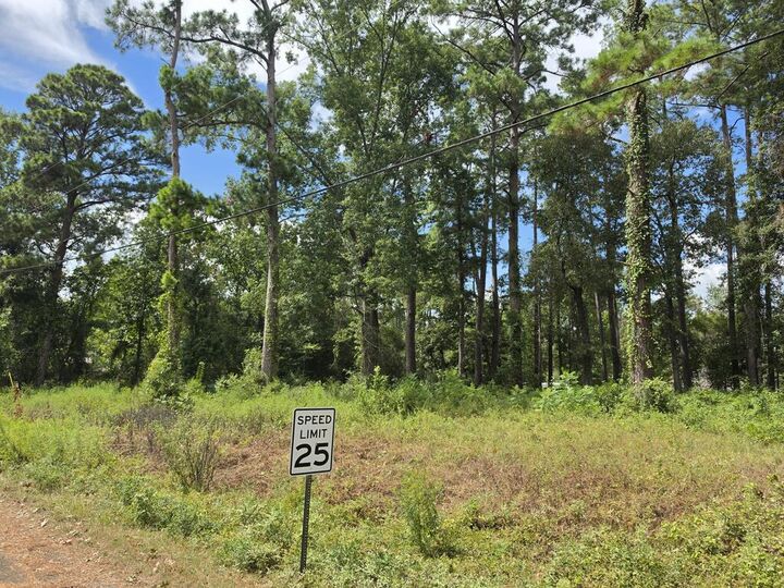 Property Photo: 156 Lakeview Dr TX 77360