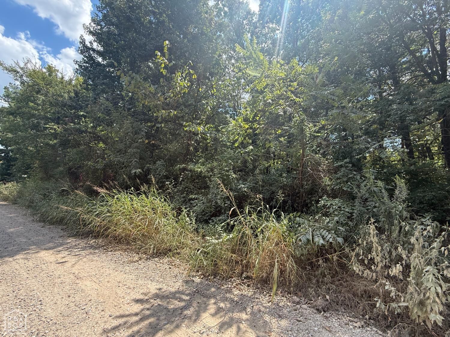 Property Photo: 2 County Road 320 AR 72416