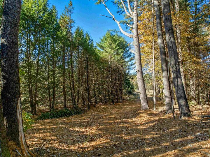 Property Photo:  115 Adams Farm Road  NH 03285 