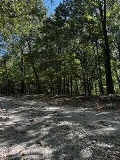 Property Photo: Cr 1520 & Tbd Amble AR 72632