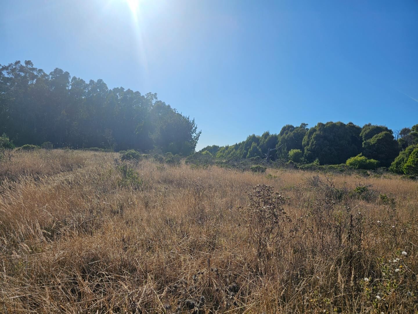 Property Photo:  0 Bonita  CA 94019 