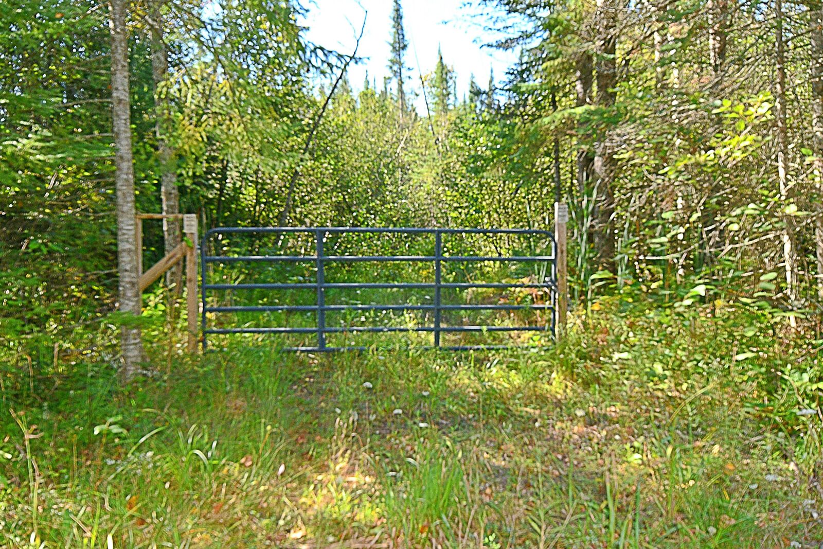 Property Photo: V/L Sullivan Drive MI 48656