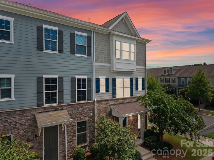 Property Photo:  1115 Whitby Moore Street  NC 28273 