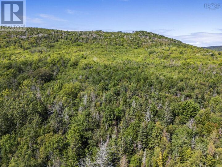 Property Photo:  Lot Haul Road  NS B0S 1A0 