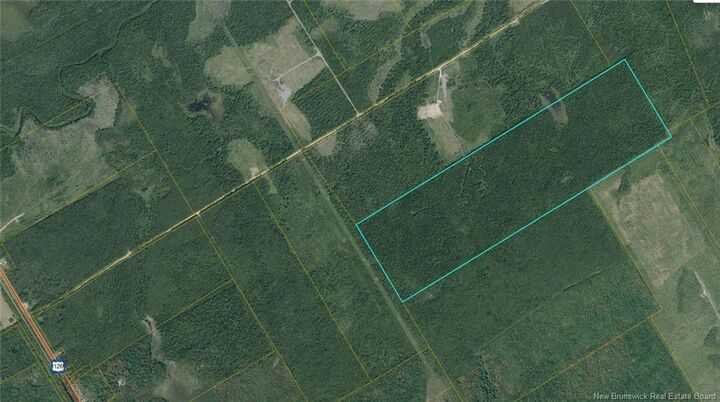 Property Photo:  Woodlot 8 Route 126  NB E4T 2C8 
