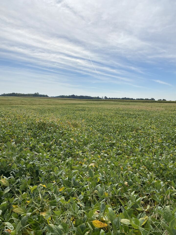 Property Photo:  2815 N US 231 Highway  IN 46135 