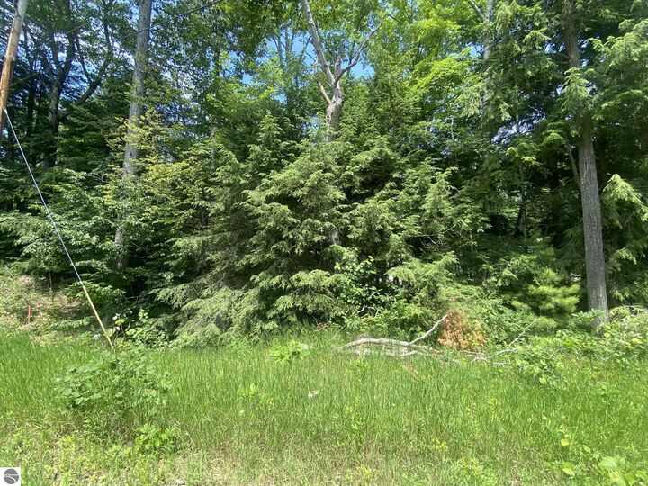 Property Photo: N Knollwood Drive MI 49670