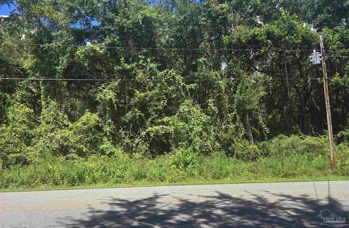 Property Photo:  0000 E Bayou Forest Dr  FL 32439 