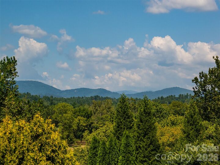 Property Photo:  3 Blue Heron Drive  NC 28732 