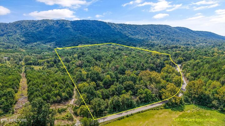 Property Photo:  Highway 131 West  TN 37881 