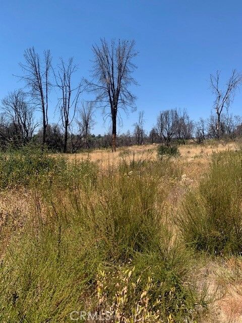 Property Photo:  16074 9th  CA 95422 