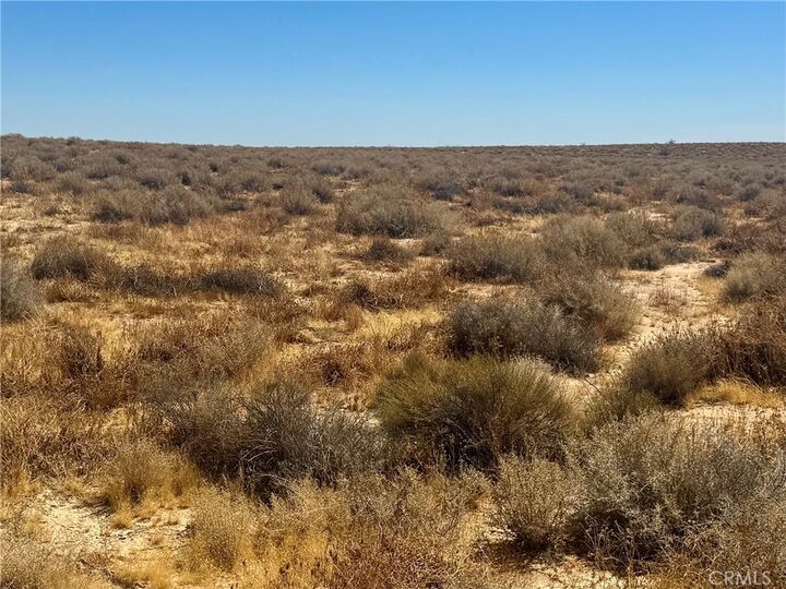 Property Photo:  0 Penny Lane  CA 93504 