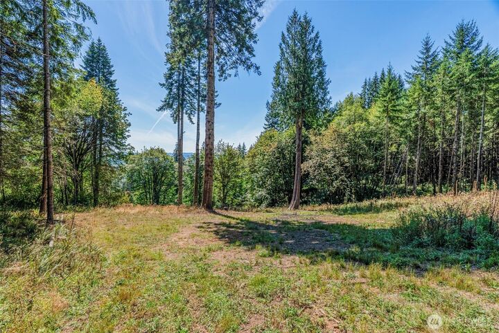 Property Photo: 0 Old Tree Farm Drive C WA 98632