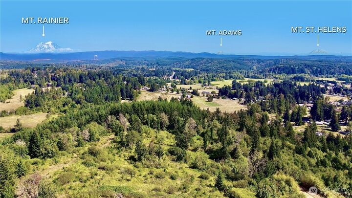 Property Photo:  170  Sawall Avenue  WA 98531 