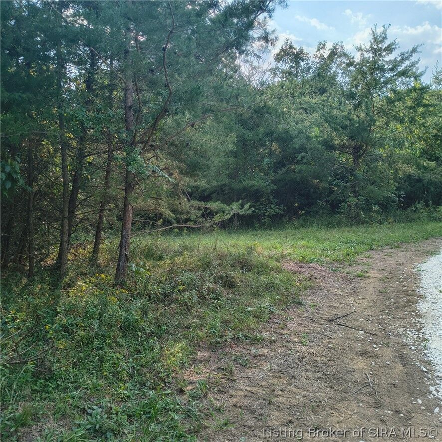 Property Photo:  Tract 4 Crooked Lane NW  IN 47112 