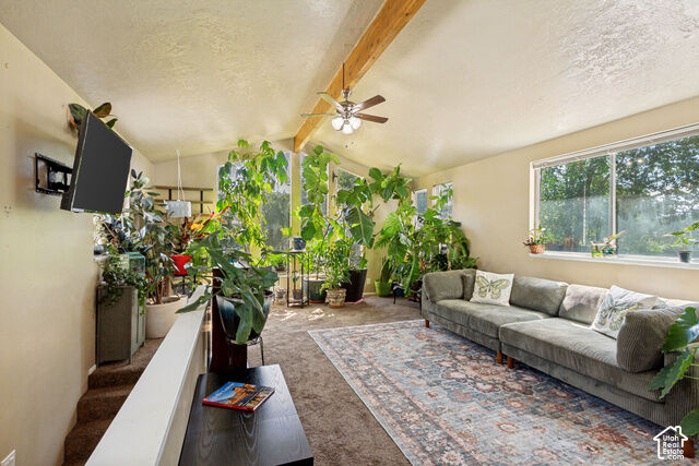 Property Photo:  1472 E 8175 S  UT 84093 