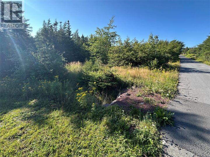 Property Photo:  12-14 Old Track Road  NL A0B 2B0 