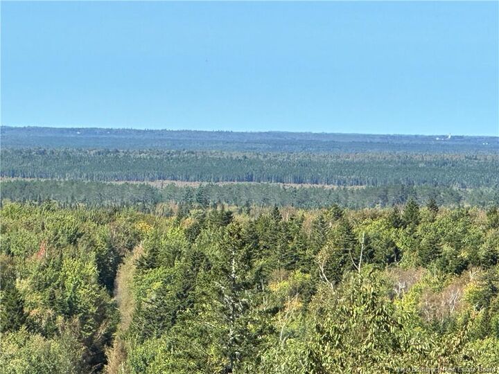 Property Photo:  Lots Indian Mountain Road  NB E1G 3C3 