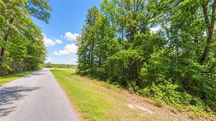 Property Photo: 0 Denny Street AL 36560