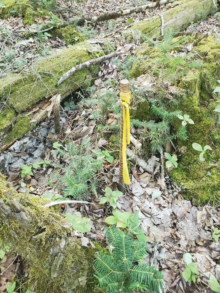 Property Photo:  45/46D Duck Cove Road  ME 04654 