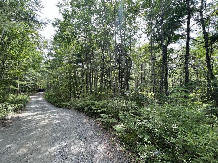 Property Photo:  Lot 17 Pine Island Drive  NS B0T 1E0 
