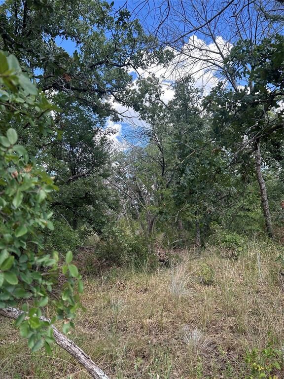 Property Photo:  4 Haynie Drive  TX 76426 