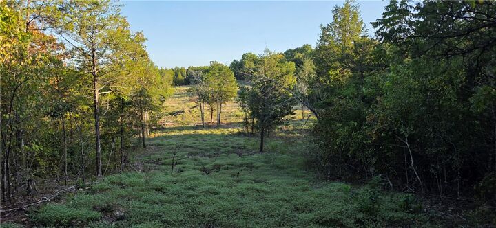 Property Photo:  19001 Old Lowery Road  AR 72662 