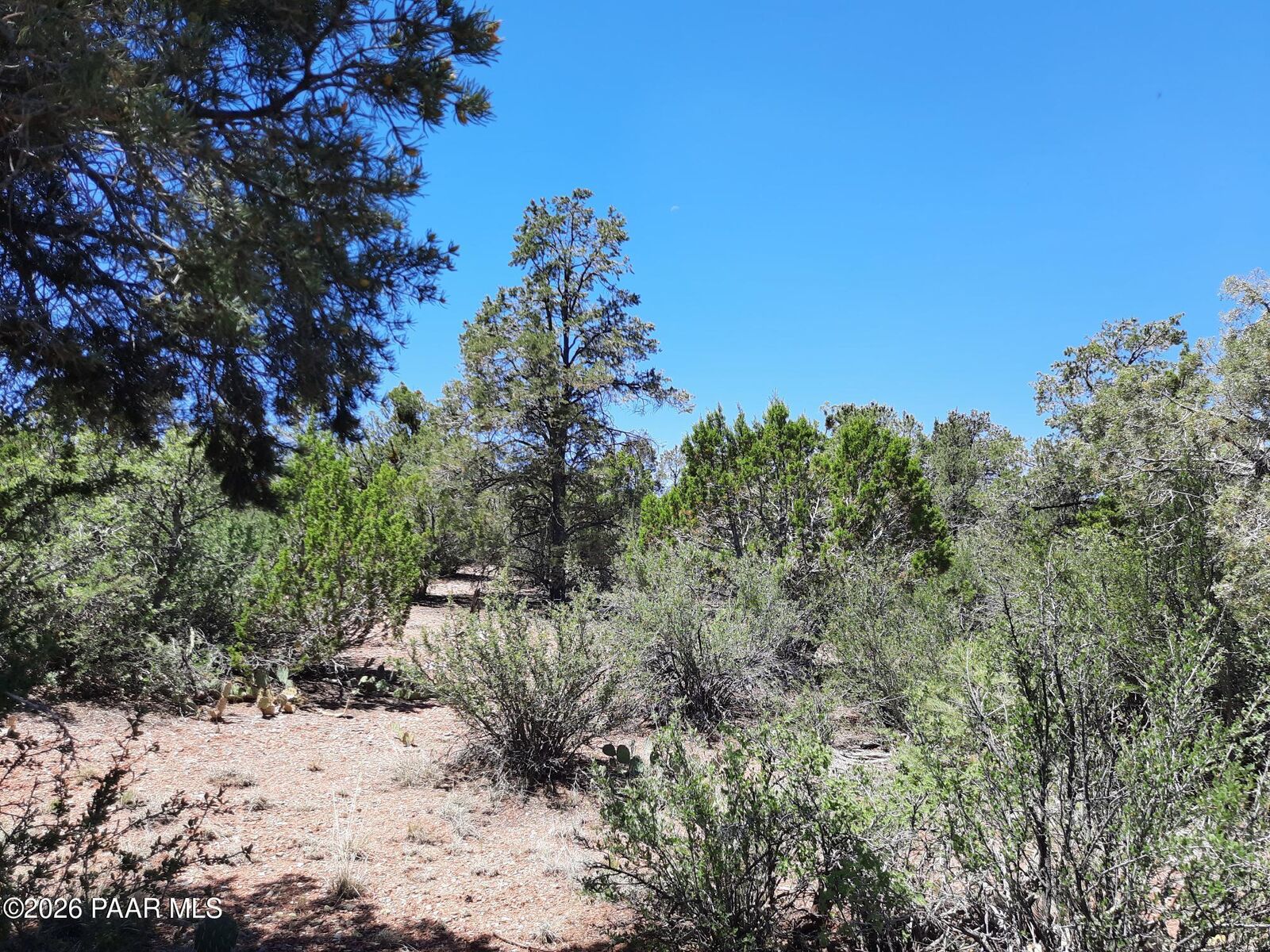 Property Photo:  074 Off Denny 5 Road  AZ 86337 