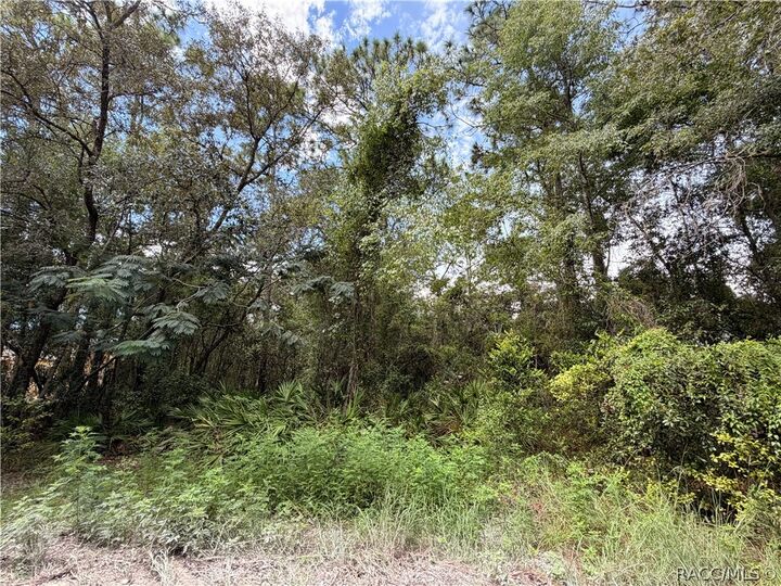Property Photo:  5710 S Leopard Point  FL 34446 