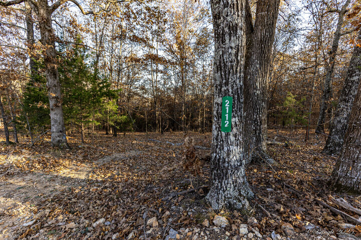 Property Photo:  2112 County Road 348  MO 65791 