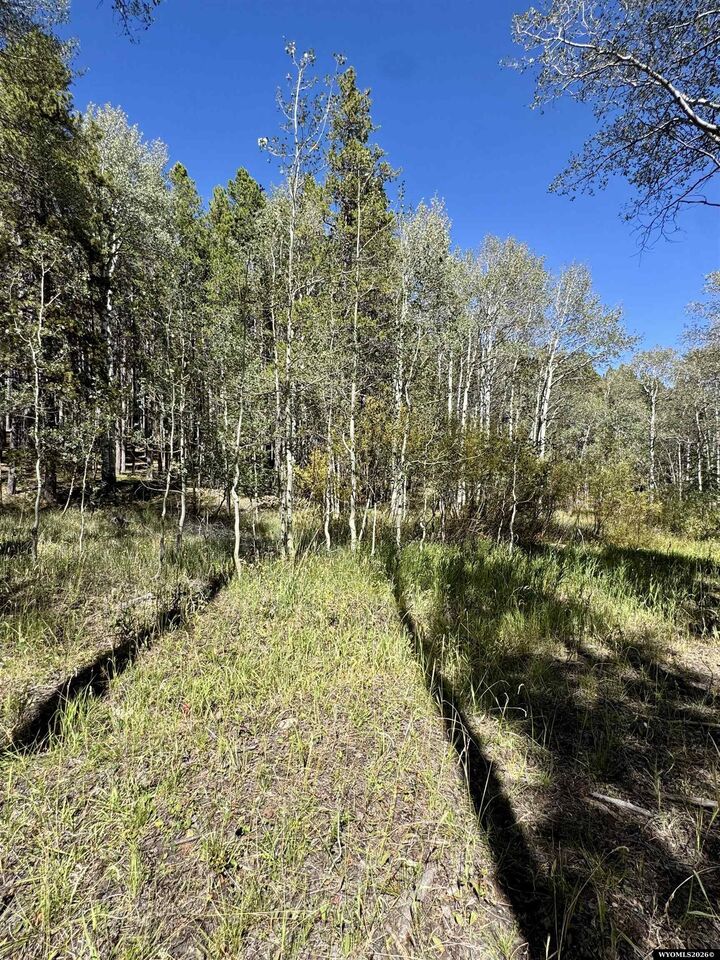 Property Photo: Lot 8 Lemmers WY 82601