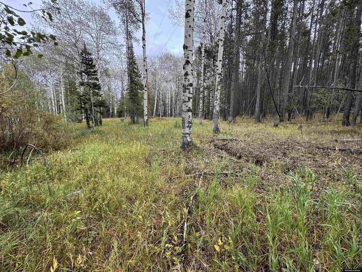 Property Photo: Lot 8 Lemmers WY 82601