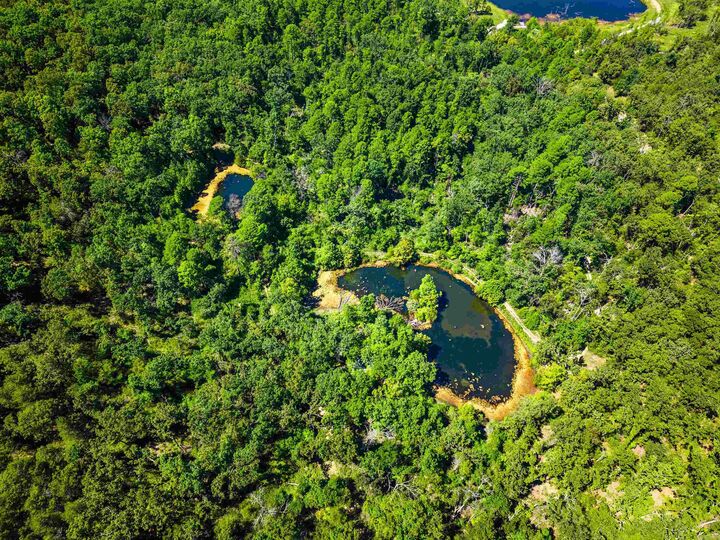 Property Photo: 1499 Ollie Mountain Lane AR 72634