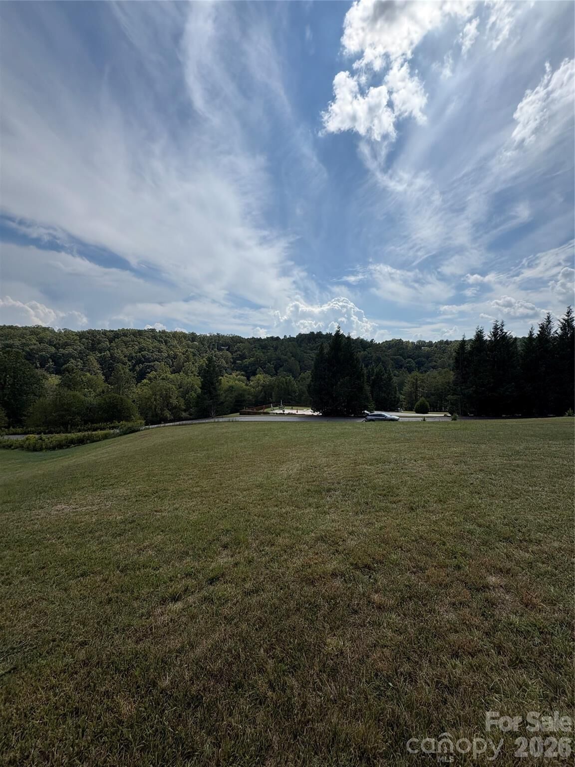 Property Photo:  91 Meadows Station Drive  NC 28761 