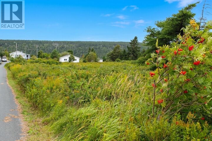 Property Photo:  20 Costello's Lane  NL A0A 1B0 