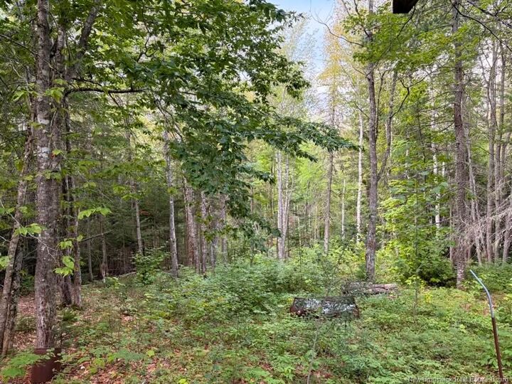 Property Photo:  Don's Lot Green Road  NB E4Z 1T6 