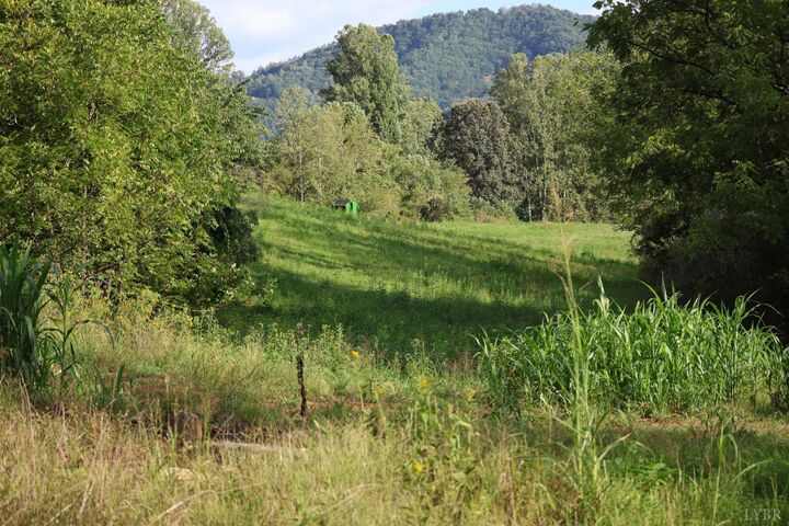 Property Photo:  0 Puppy Creek Road  VA 24521 