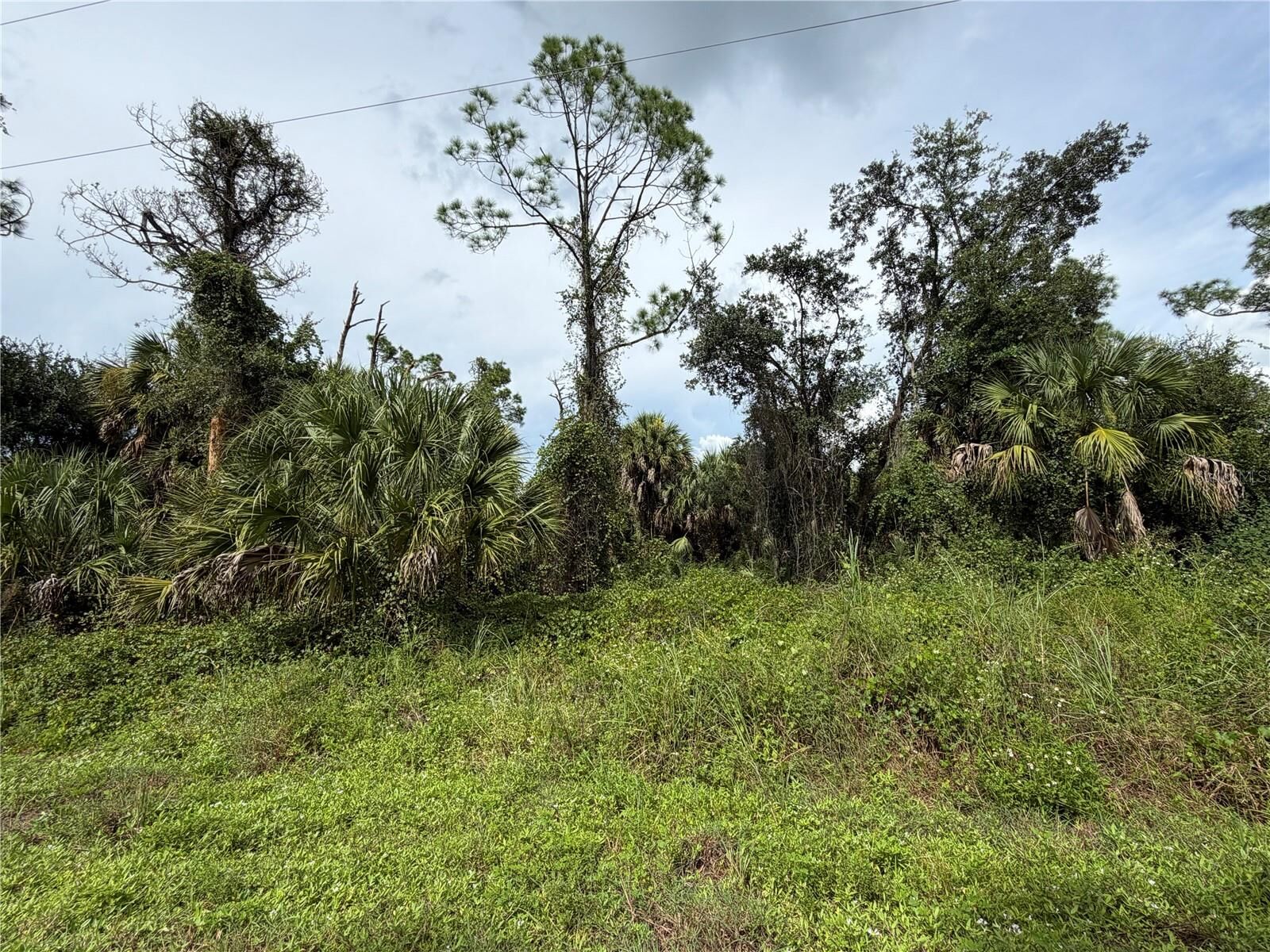 Property Photo:  Barcelona Drive  FL 34288 