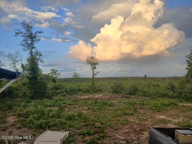 Property Photo:  1570 Hephzibah - McBean Road  GA 30815 