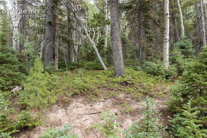 Property Photo:  Lot 2660 Speciale Place  CO 81133 