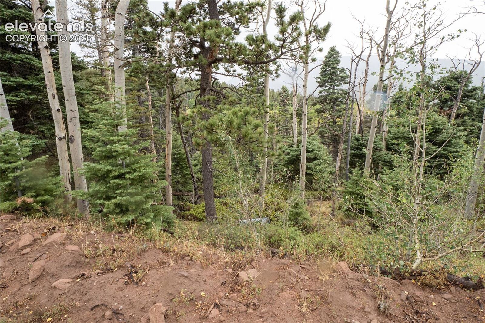 Property Photo:  Lot 2825 Moir Drive  CO 81133 