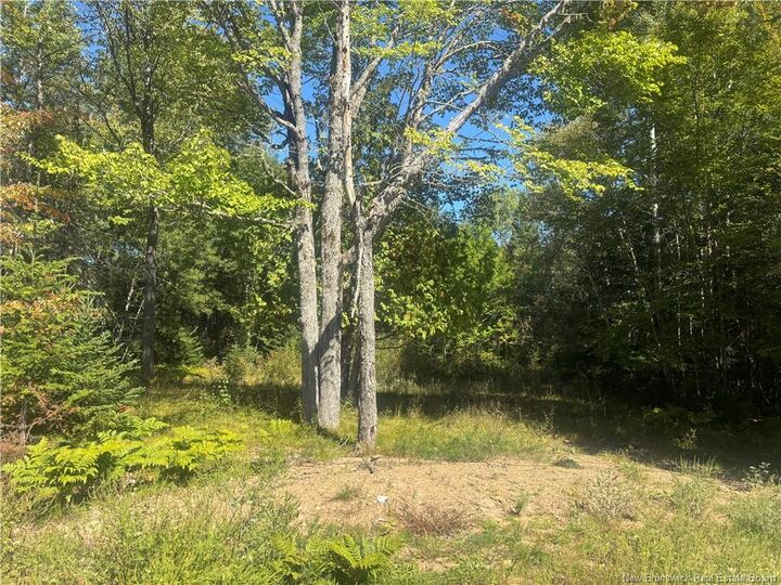 Property Photo:  201 King Street  NB E4A 2K4 