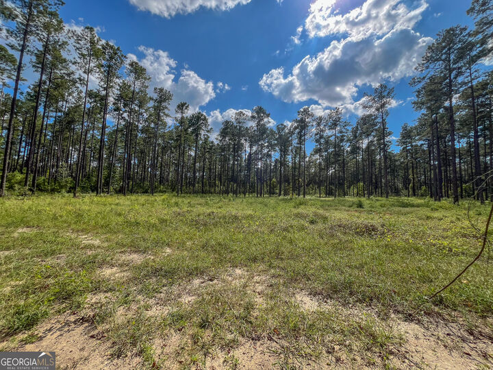 Property Photo:  0 Mark Wood Rd. Lot 2  GA 31019 